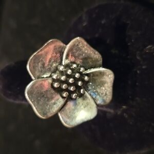 PD ring